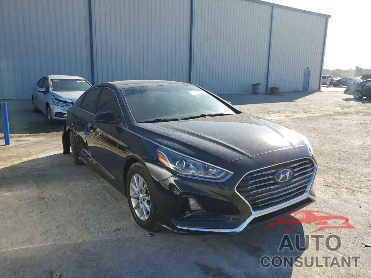 HYUNDAI SONATA 2019 - 5NPE24AF4KH731434