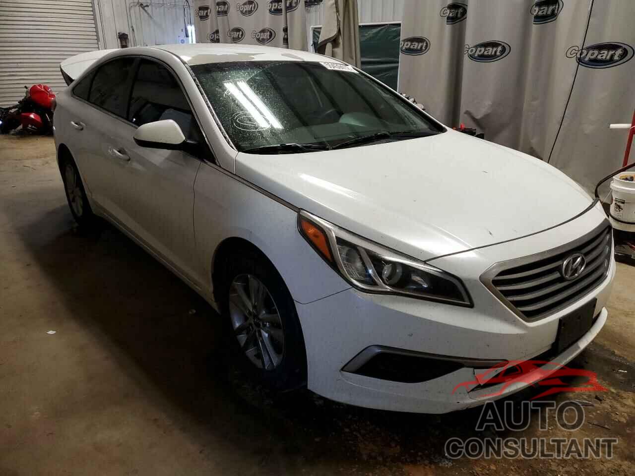 HYUNDAI SONATA 2017 - 5NPE24AF2HH533525