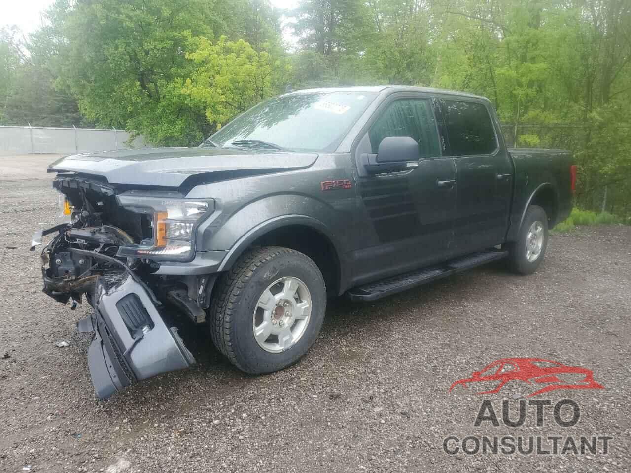 FORD F-150 2019 - 1FTEW1EP3KFC50235
