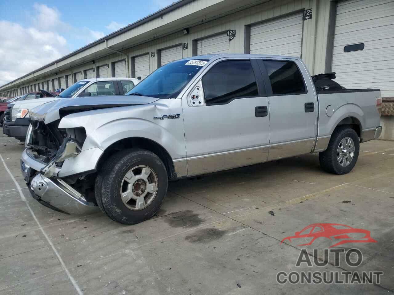 FORD F-150 2009 - 1FTRW12839FB19217