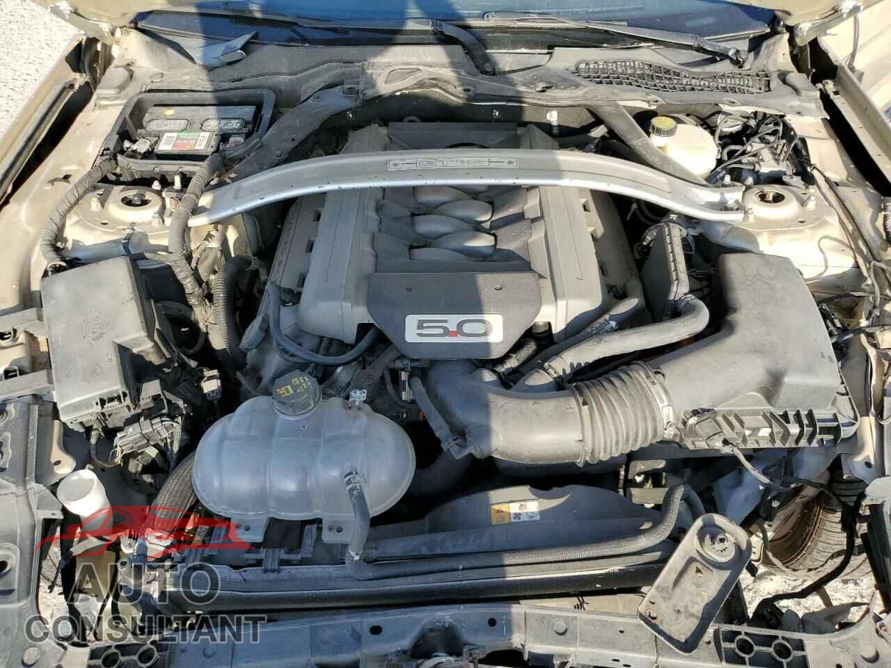 FORD MUSTANG 2016 - 1FA6P8CF3G5290175