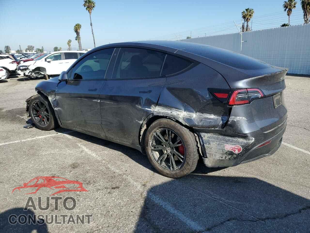 TESLA MODEL Y 2022 - 7SAYGDEF8NF493750