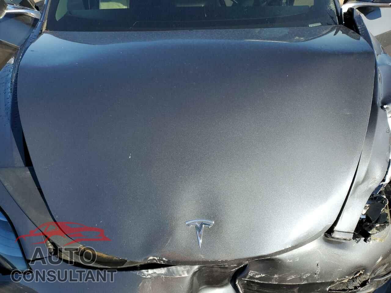 TESLA MODEL 3 2019 - 5YJ3E1EA2KF474929