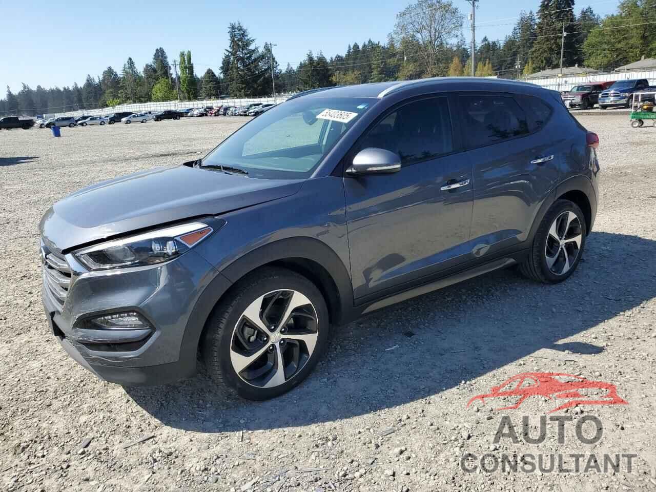 HYUNDAI TUCSON 2016 - KM8J3CA25GU035192