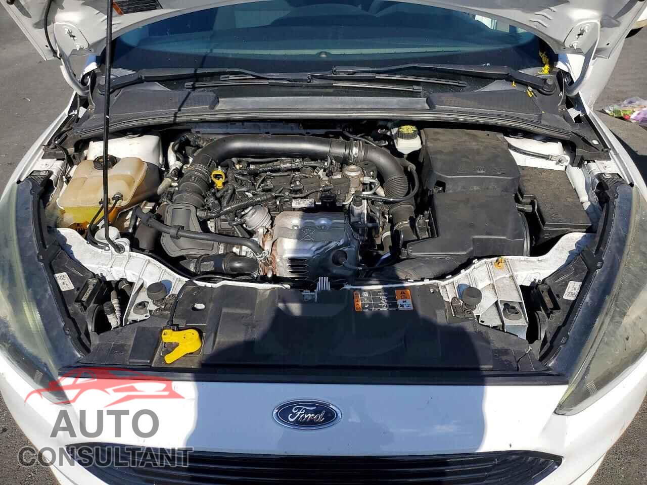 FORD FOCUS 2017 - 1FADP3FE4HL277557