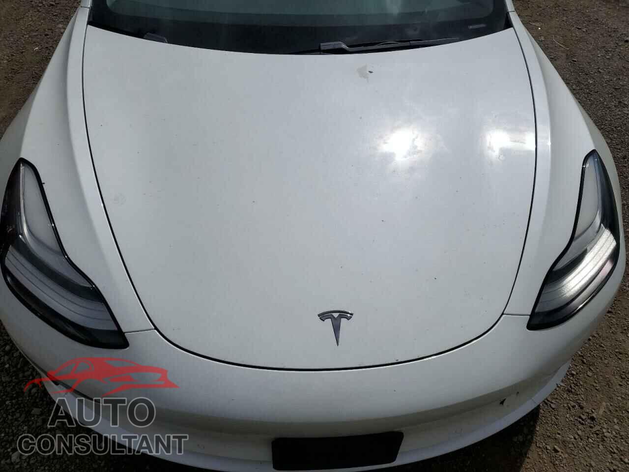 TESLA MODEL 3 2019 - 5YJ3E1EA3KF444886
