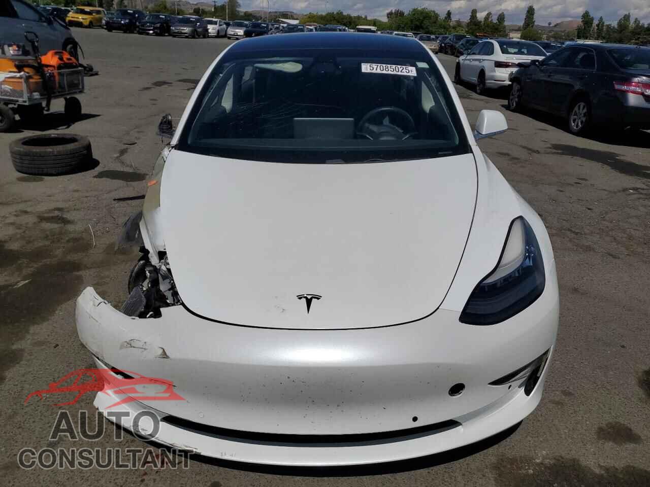 TESLA MODEL 3 2019 - 5YJ3E1EA7KF483562