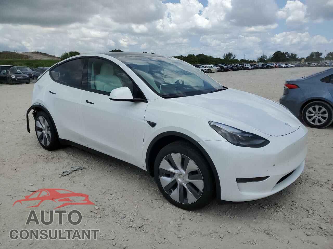 TESLA MODEL Y 2024 - 7SAYGDEE8RA255603