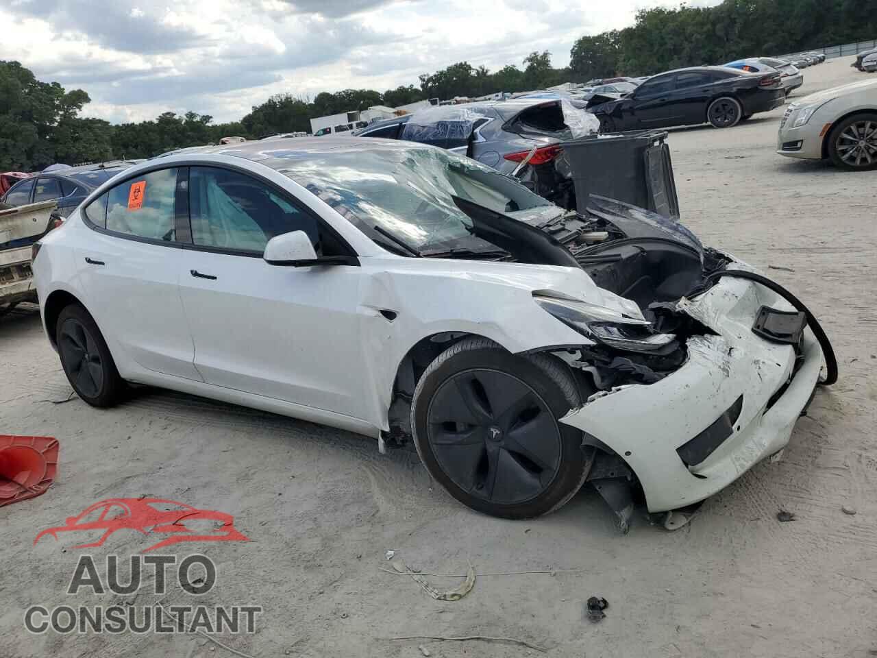TESLA MODEL 3 2019 - 5YJ3E1EA1KF314007