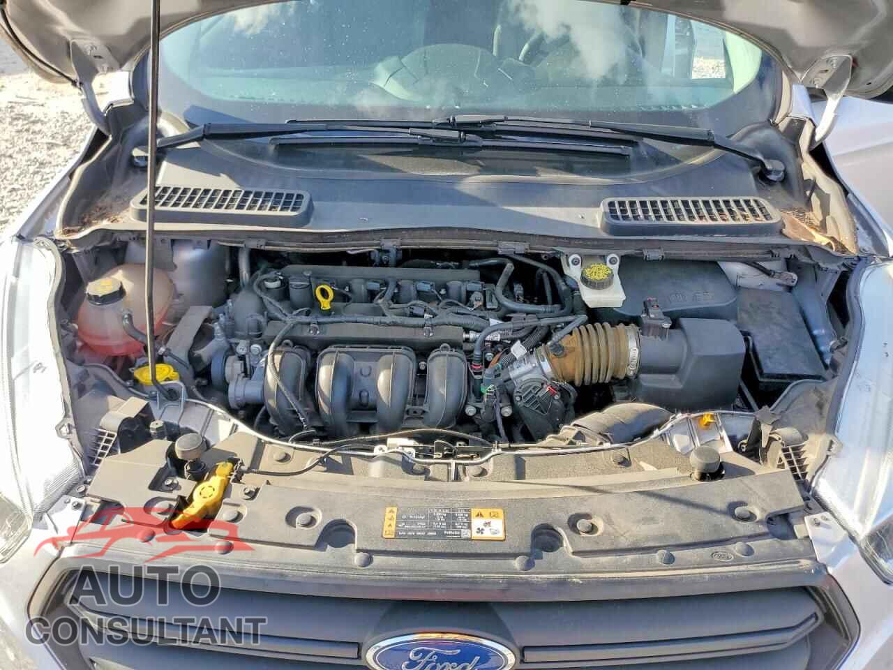 FORD ESCAPE 2017 - 1FMCU0F75HUB66343