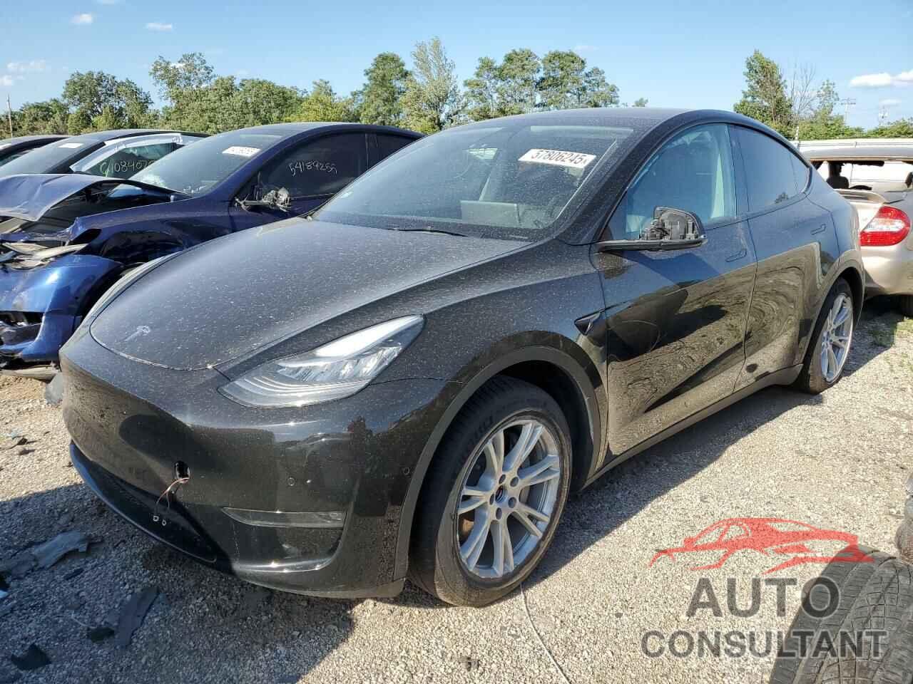TESLA MODEL Y 2021 - 5YJYGDEE8MF304081