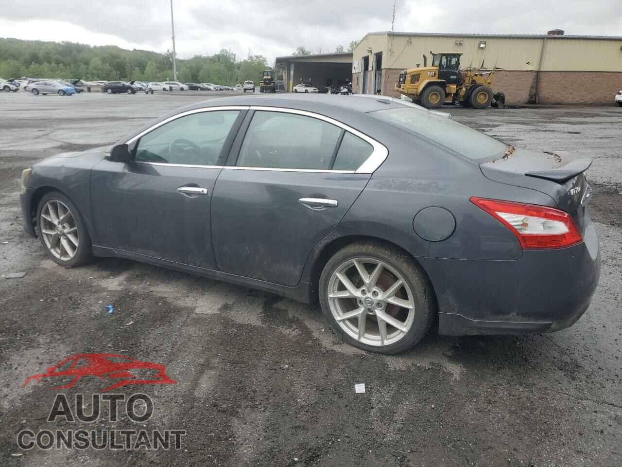 NISSAN MAXIMA 2011 - 1N4AA5AP0BC843570