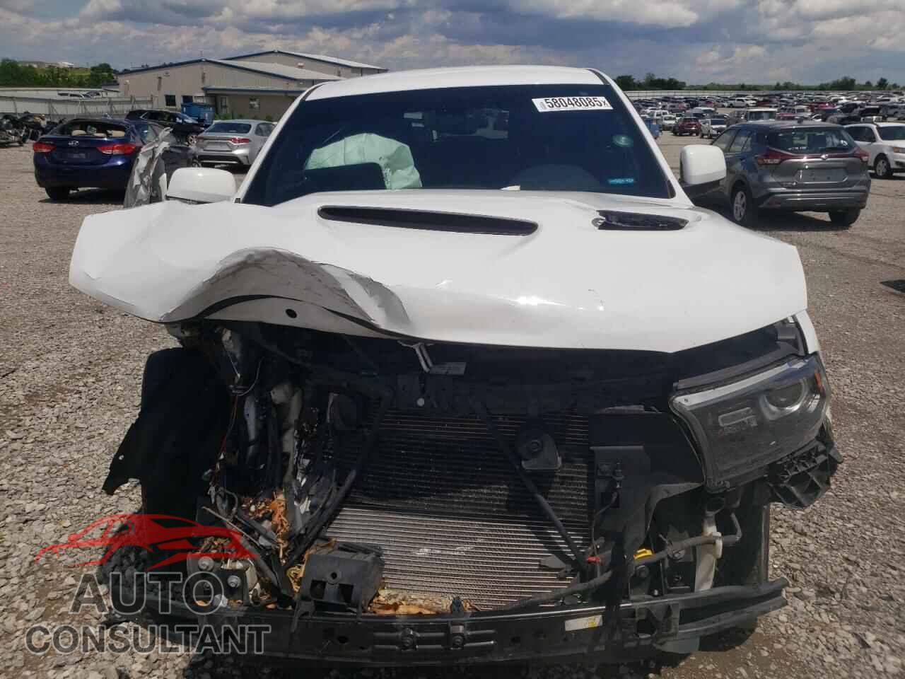 DODGE DURANGO 2019 - 1C4SDJCT1KC664351