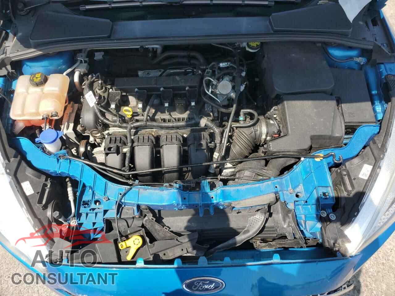 FORD FOCUS 2016 - 1FADP3F29GL396810