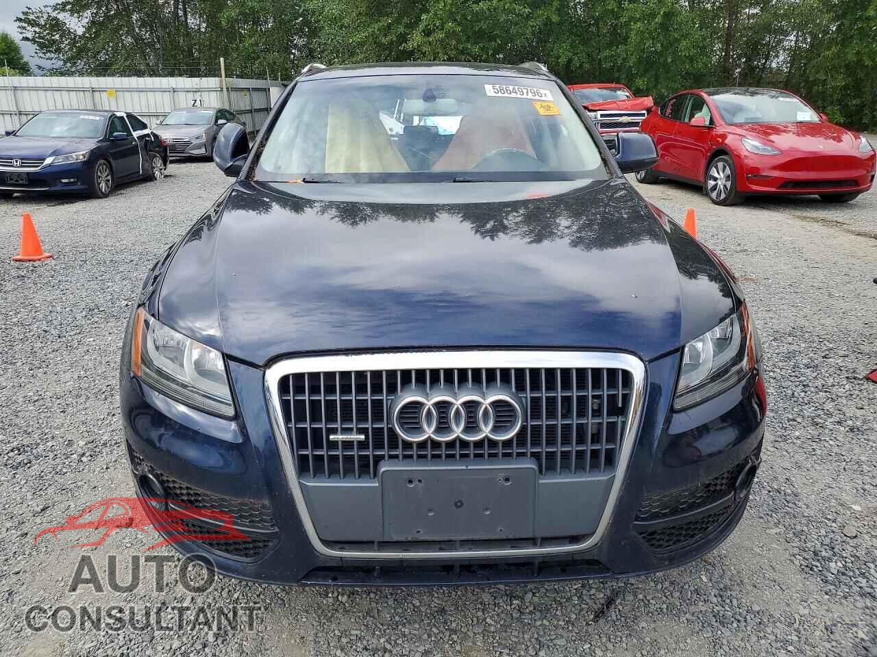 AUDI Q5 2011 - WA1CFAFPXBA011259