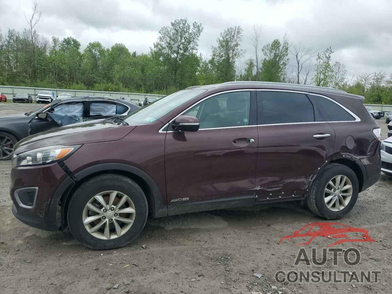 KIA SORENTO 2017 - 5XYPGDA56HG316715