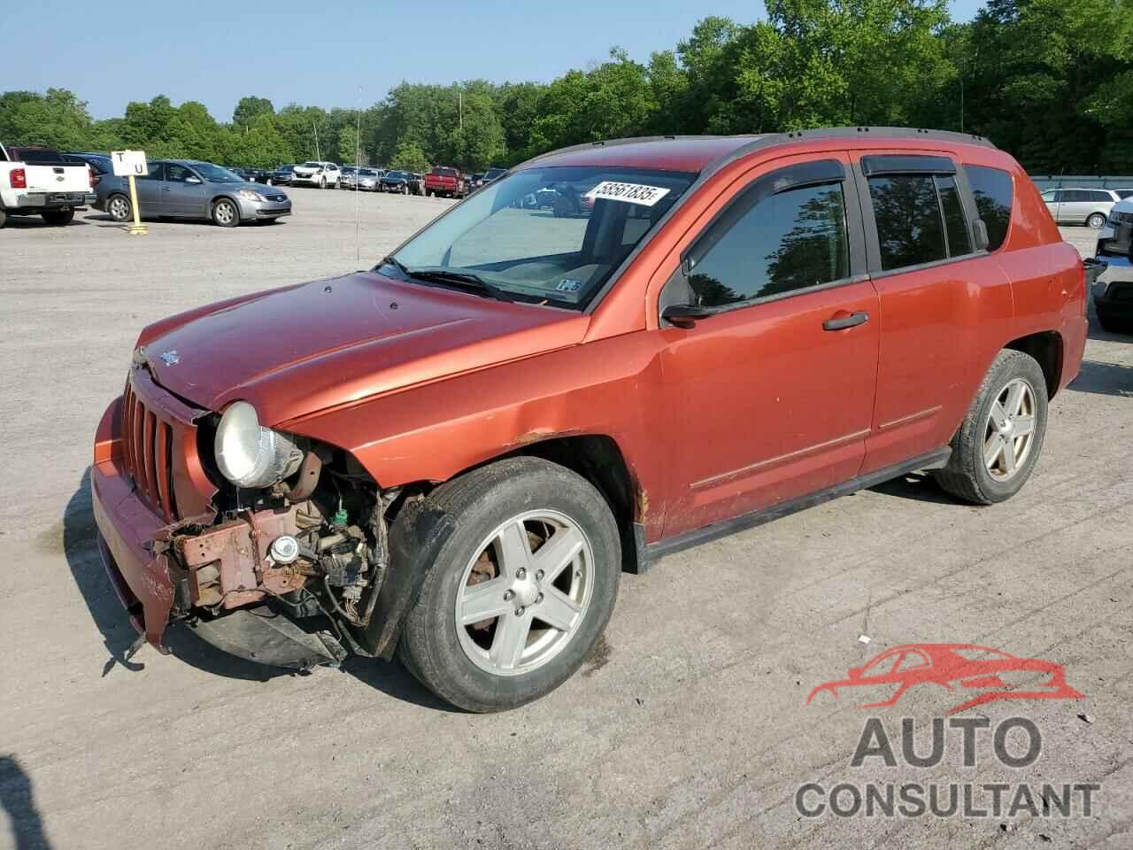 JEEP COMPASS 2009 - 1J4FF47B69D120389