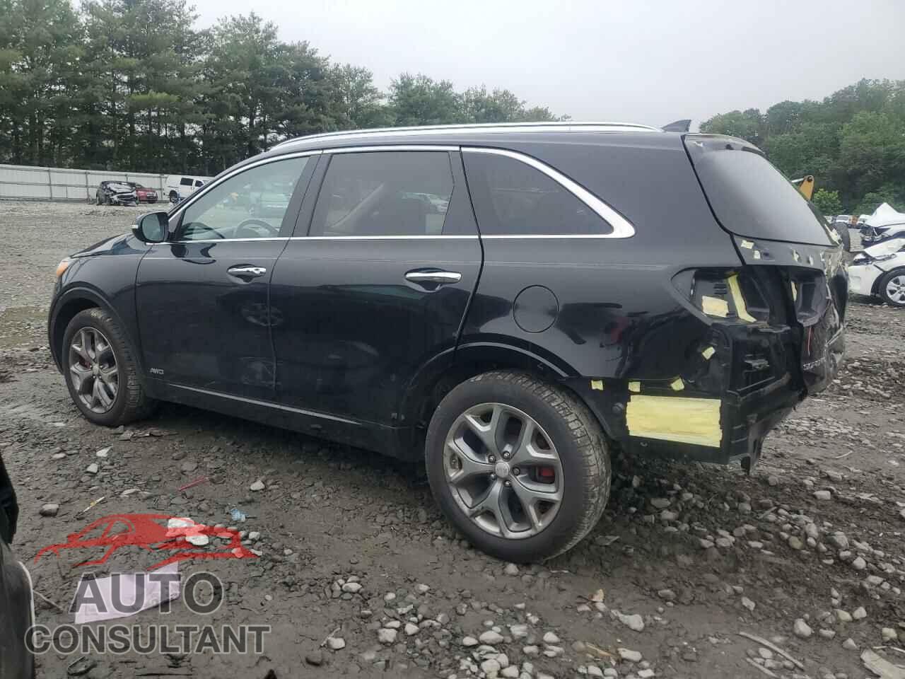 KIA SORENTO 2017 - 5XYPKDA52HG310778