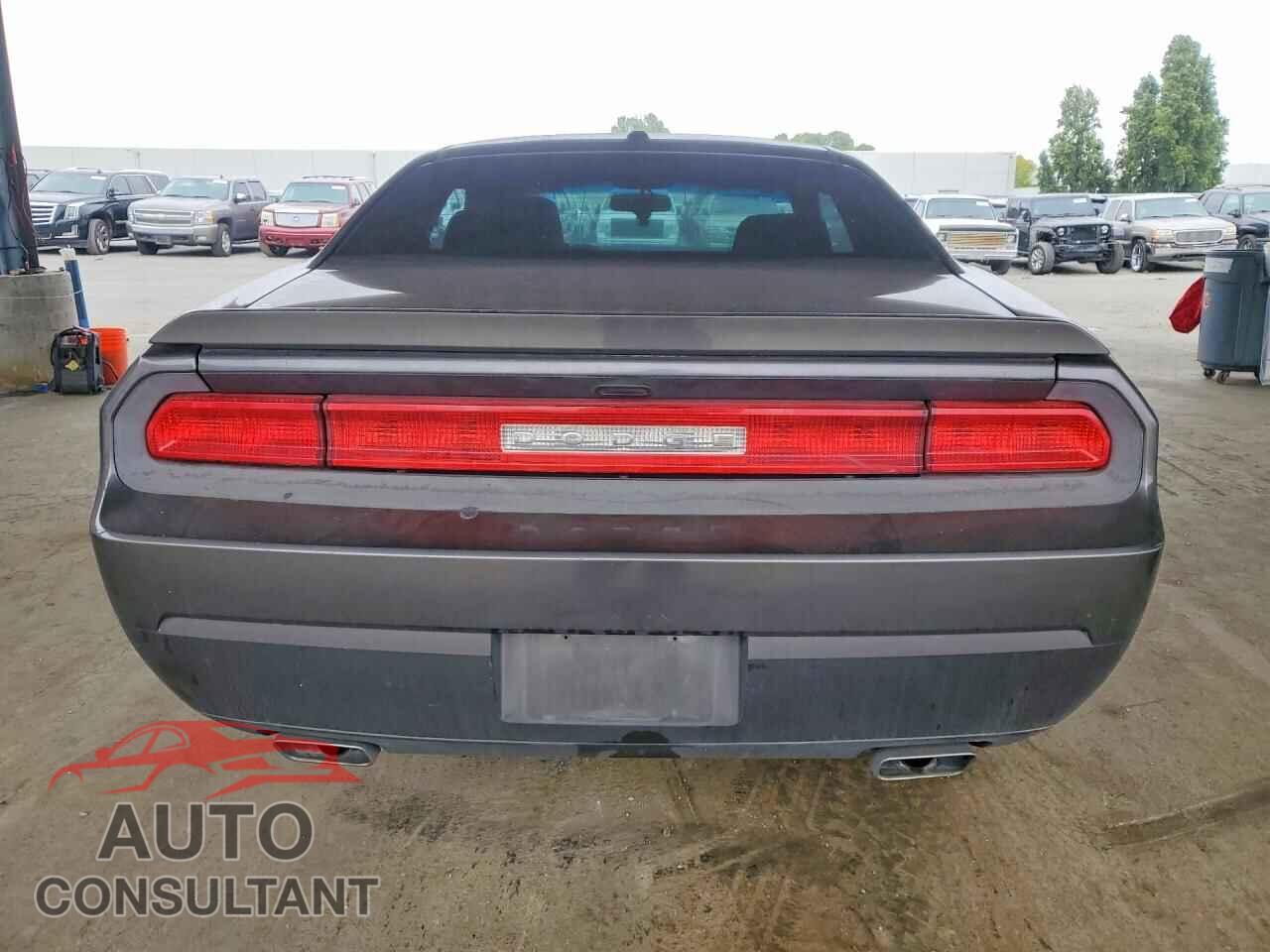 DODGE CHALLENGER 2013 - 2C3CDYAG8DH651751