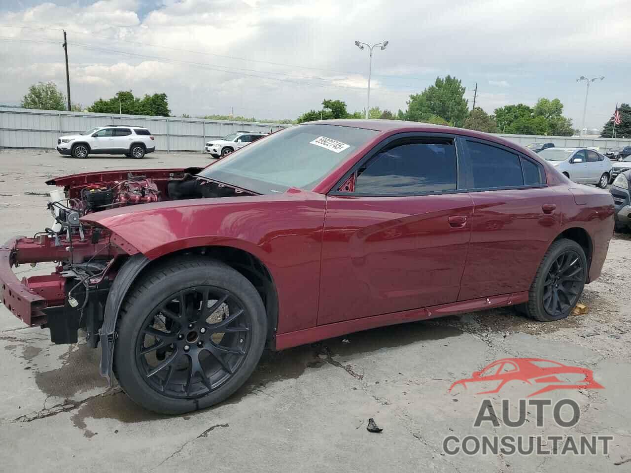 DODGE CHARGER 2019 - 2C3CDXL9XKH623584