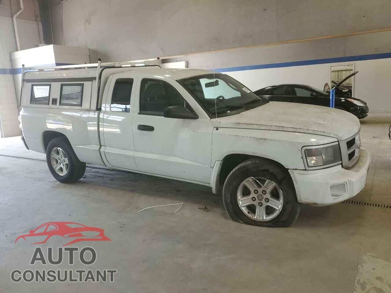 DODGE DAKOTA 2010 - 1D7CE3BK2AS263939