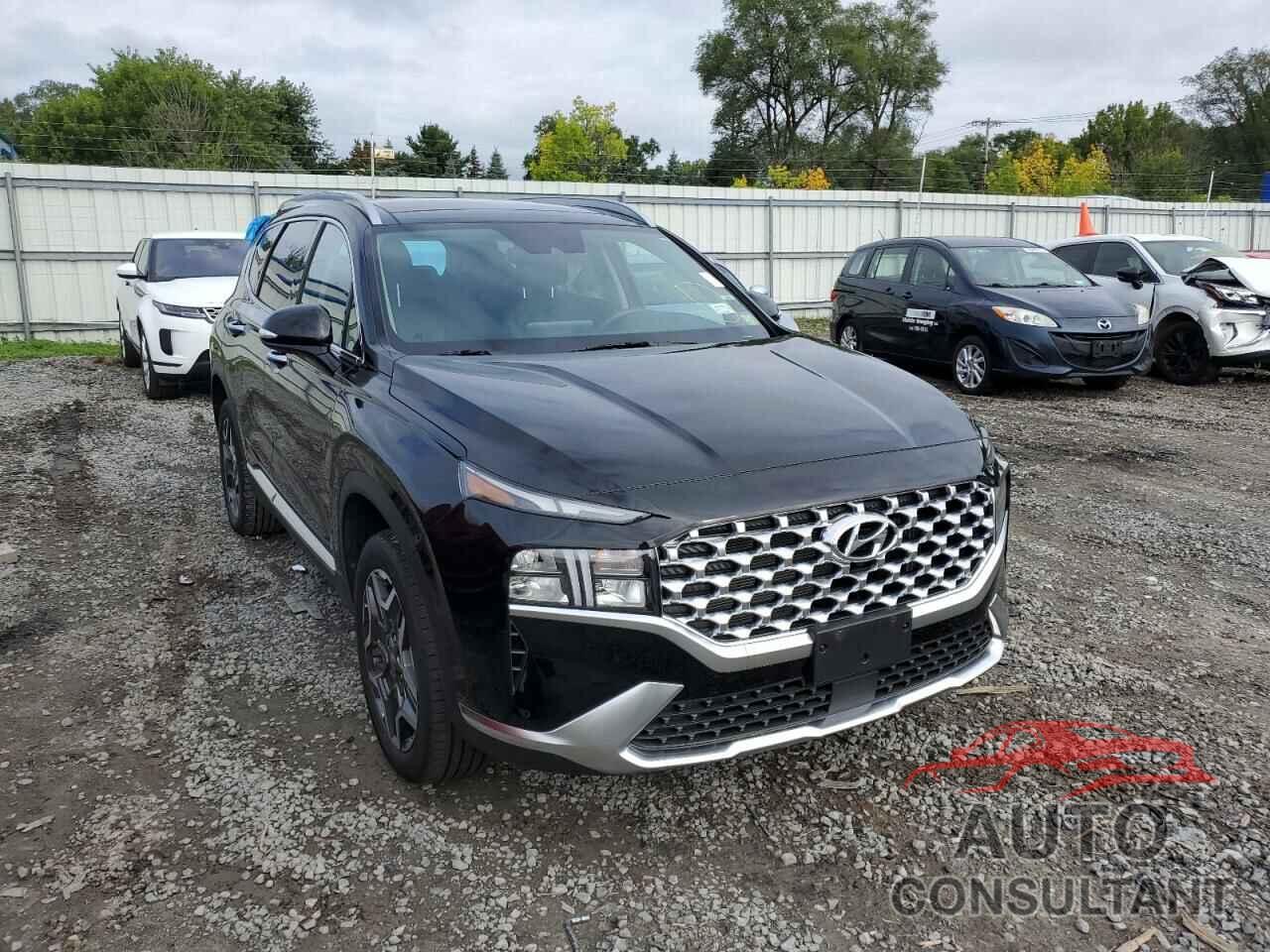 HYUNDAI SANTA FE 2021 - KM8S3DA1XMU009264