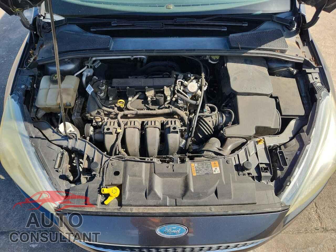 FORD FOCUS 2016 - 1FADP3E25GL379200