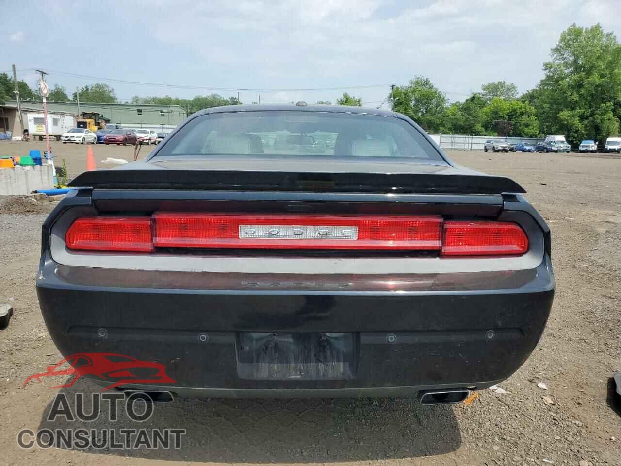 DODGE CHALLENGER 2013 - 2C3CDYAG9DH653332