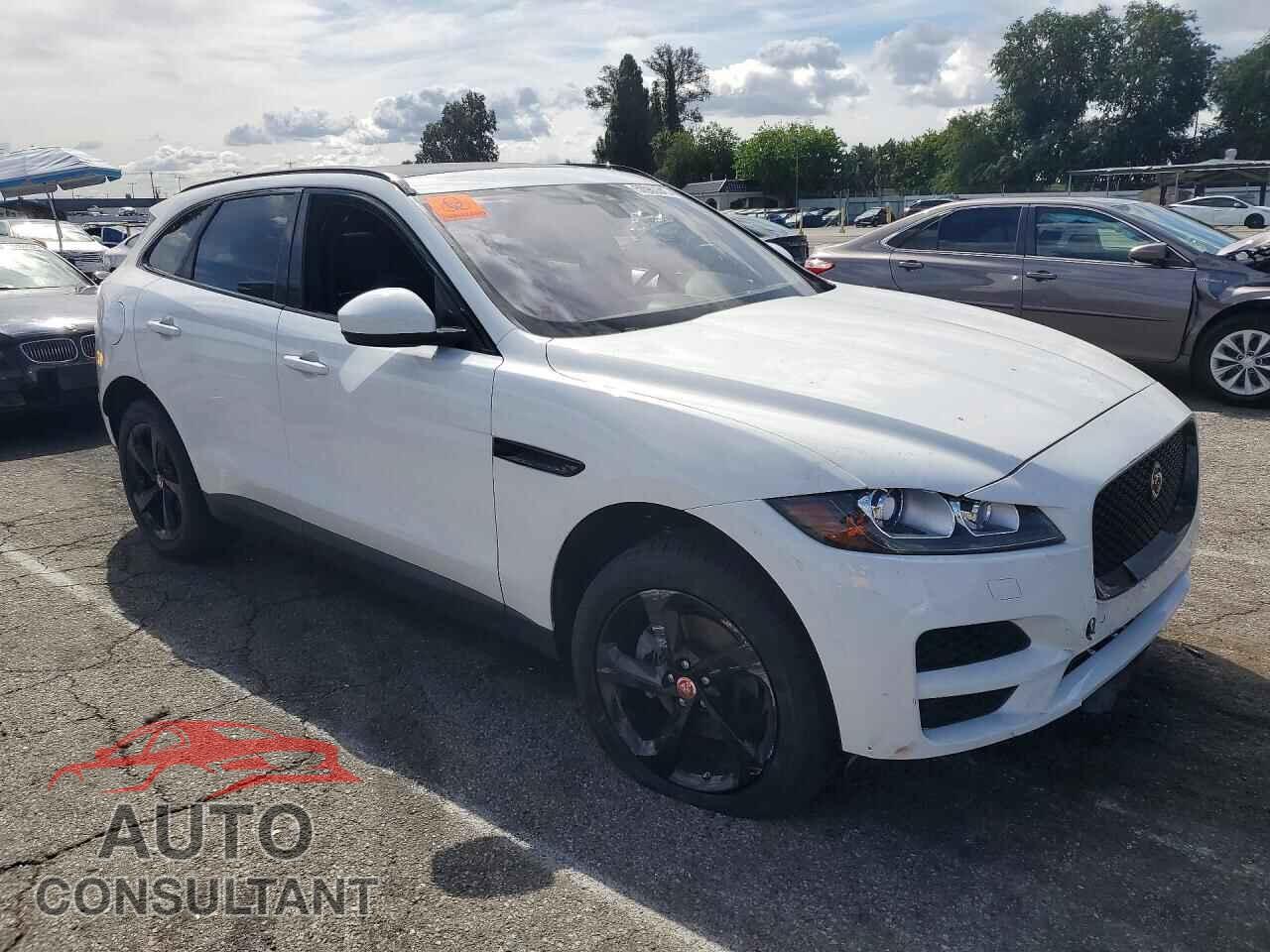 JAGUAR F-PACE 2019 - SADCJ2FX2KA609733