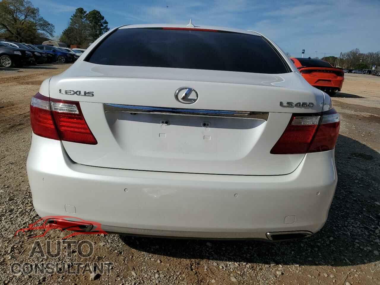LEXUS LS460 2009 - JTHBL46F995086717