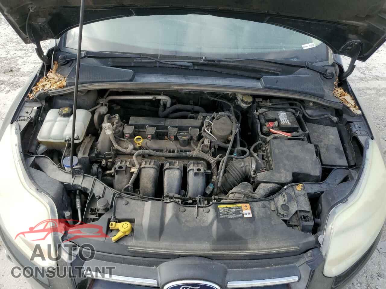 FORD FOCUS 2014 - 1FADP3F25EL216090