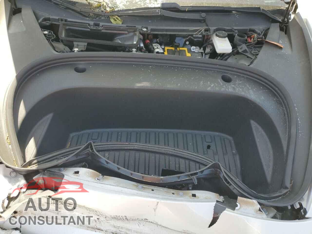TESLA MODEL 3 2021 - 5YJ3E1EA9MF982995