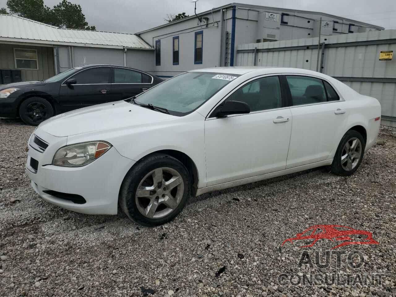 CHEVROLET MALIBU 2011 - 1G1ZA5EU4BF311226