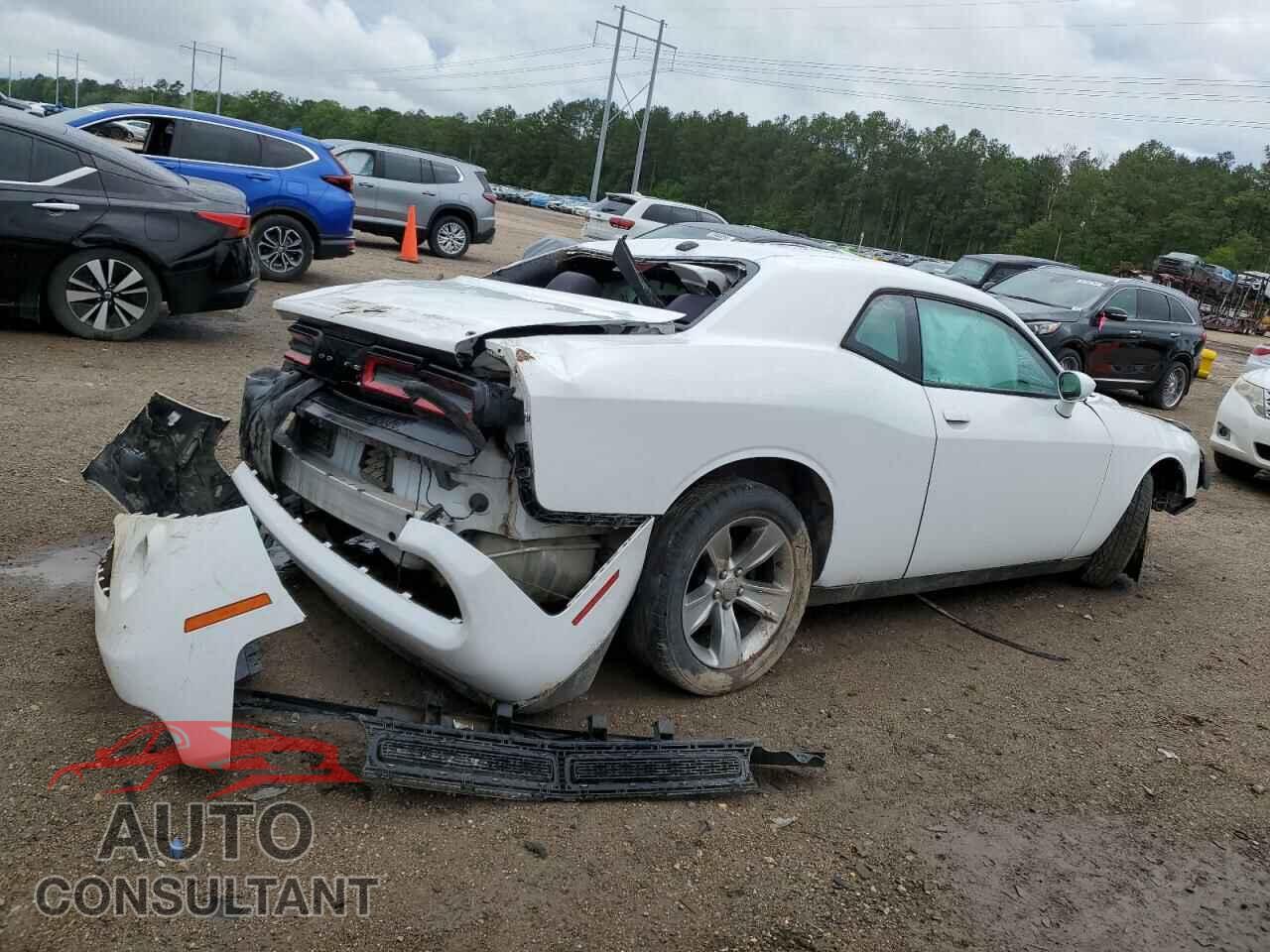 DODGE CHALLENGER 2019 - 2C3CDZAG8KH714592