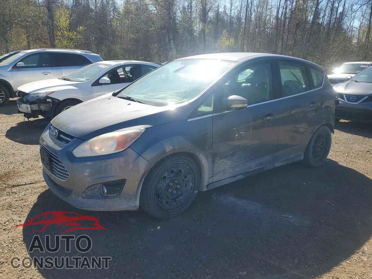 FORD CMAX 2013 - 1FADP5BU9DL515566