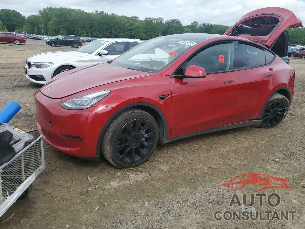 TESLA MODEL Y 2021 - 5YJYGDEE8MF118377