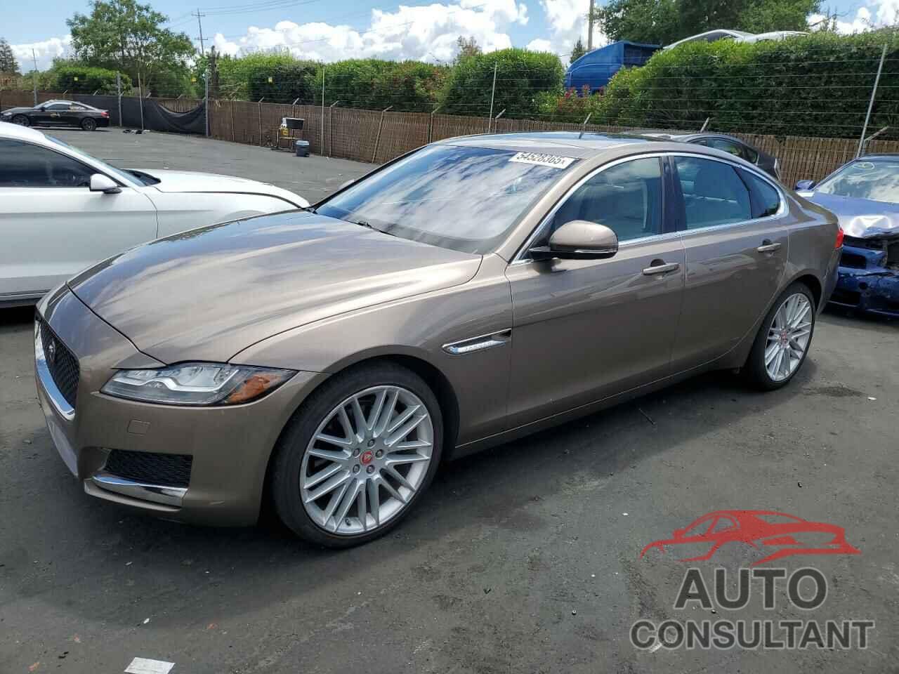 JAGUAR XF 2016 - SAJBE4BV8GCY06530