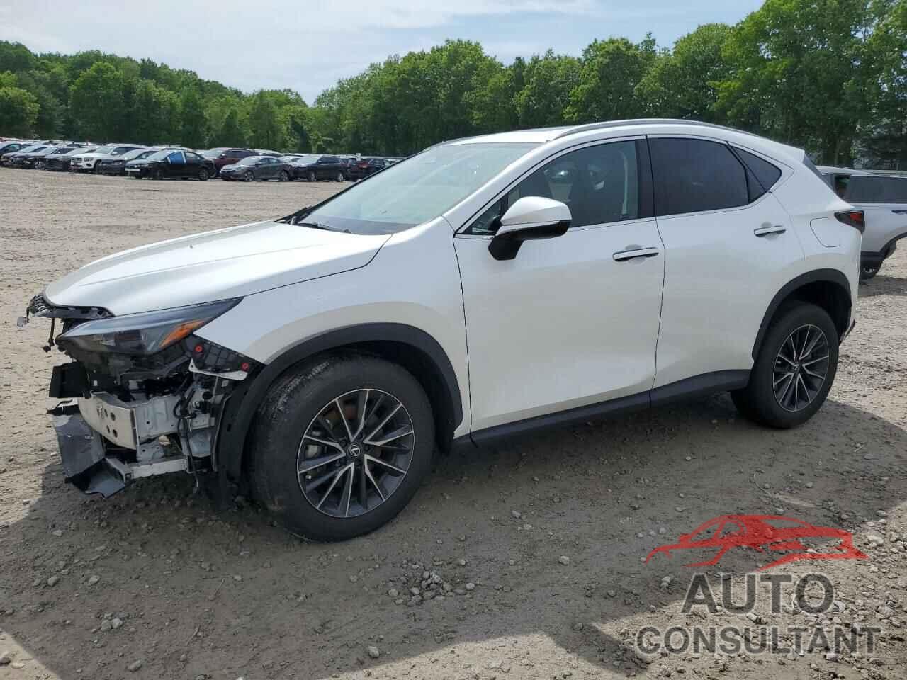 LEXUS NX 350 PRE 2024 - 2T2GGCEZXRC052446