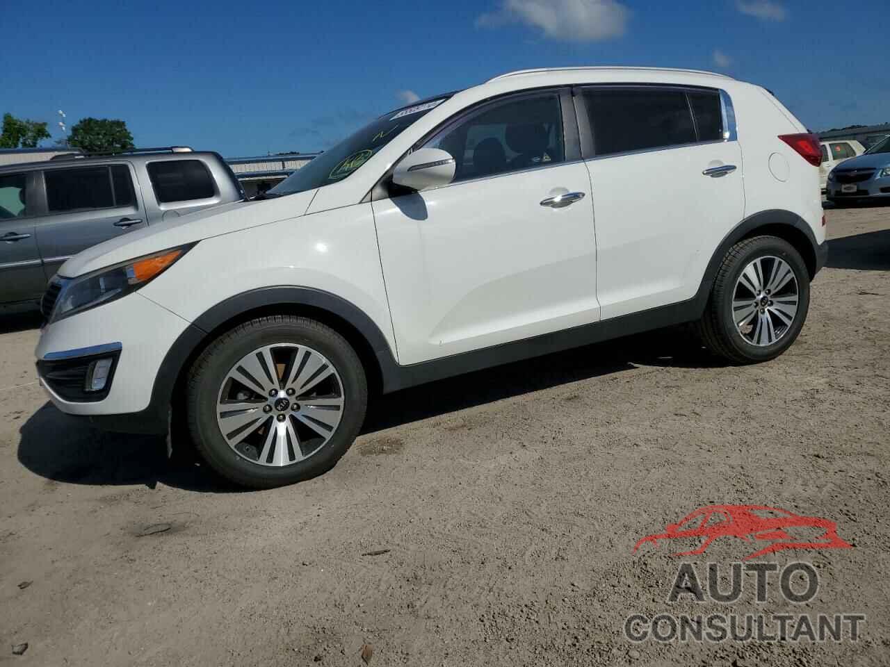 KIA SPORTAGE 2016 - KNDPC3AC5G7876547