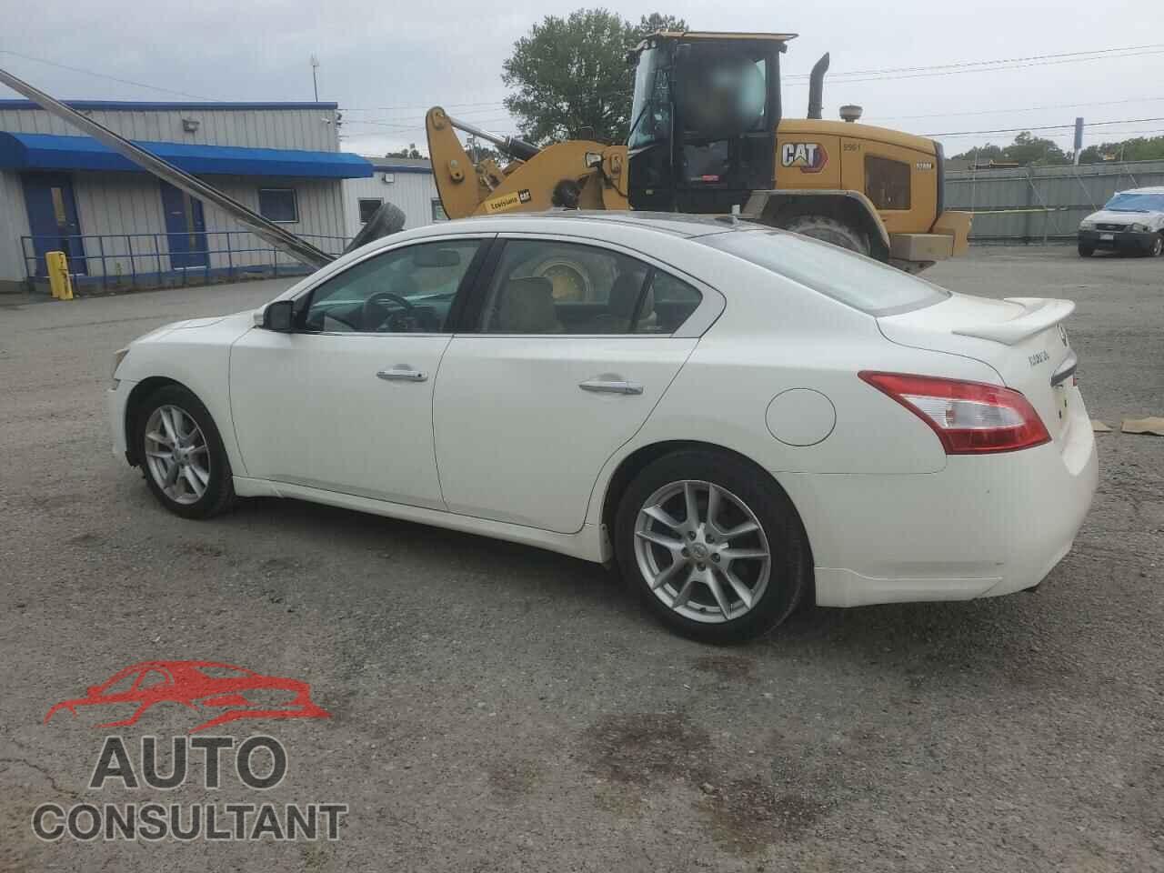NISSAN MAXIMA 2011 - 1N4AA5AP4BC841742