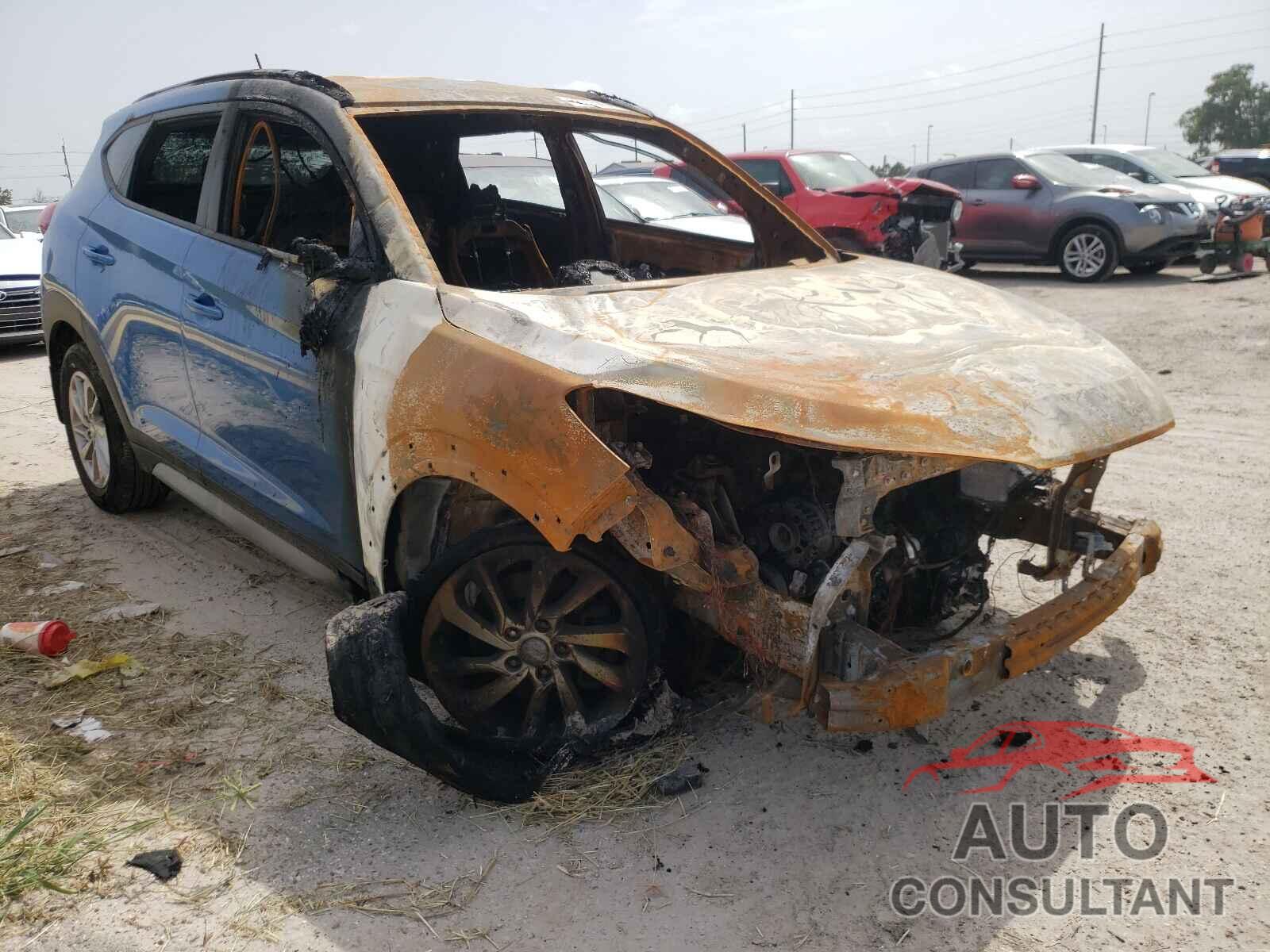 HYUNDAI TUCSON 2017 - KM8J33A46HU595919