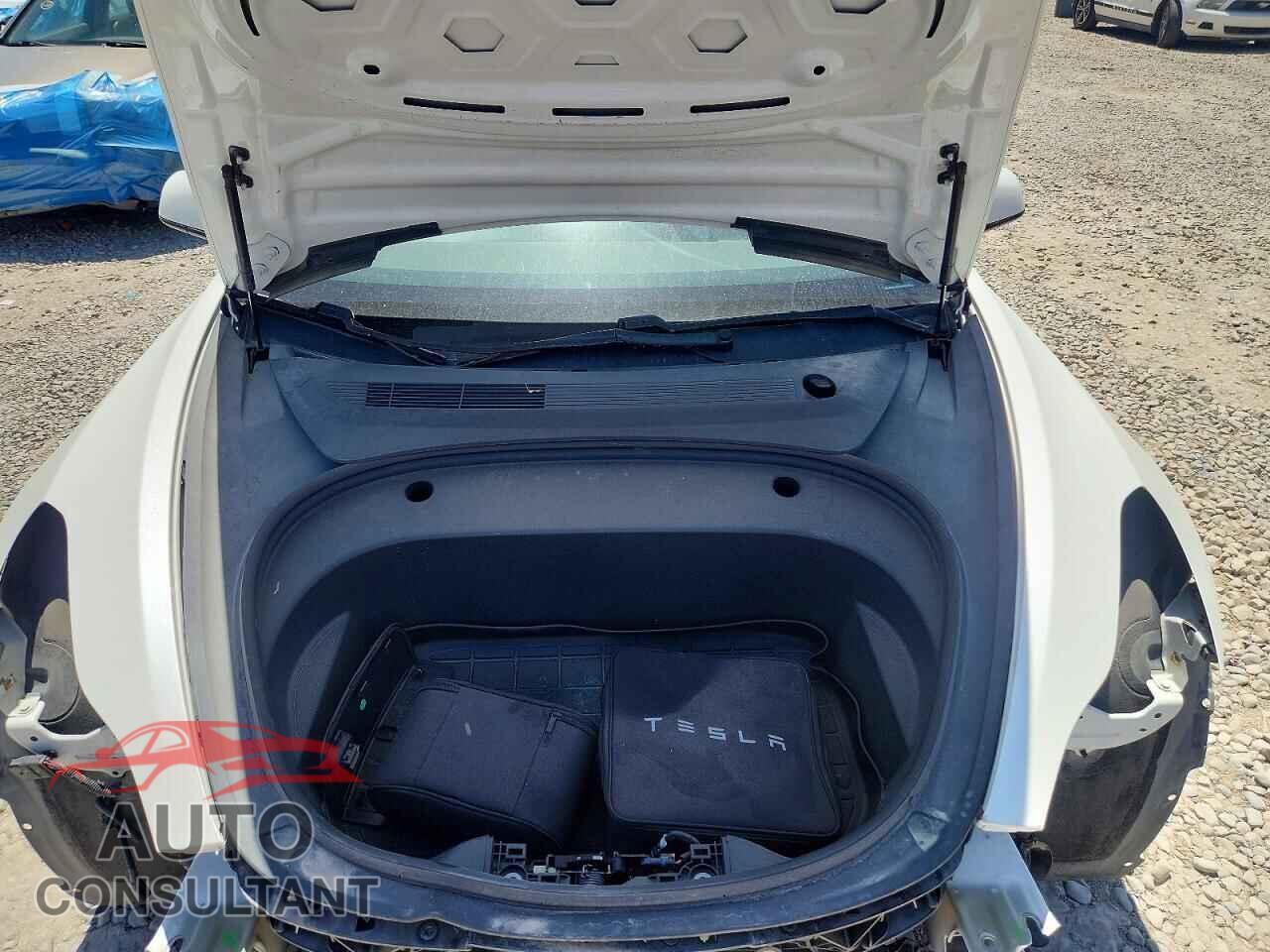 TESLA MODEL 3 2021 - 5YJ3E1EC3MF059669