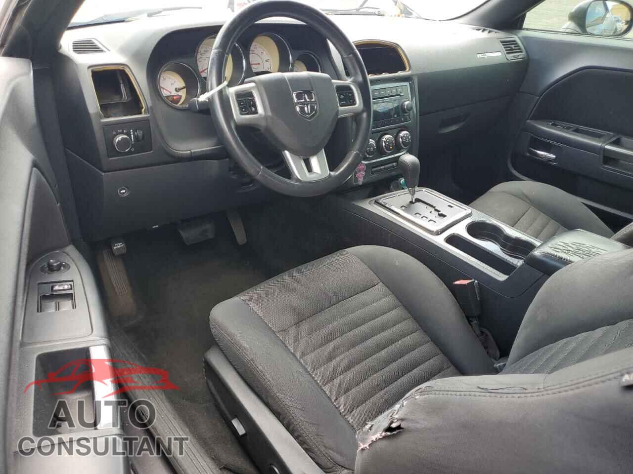 DODGE CHALLENGER 2013 - 2C3CDYAG3DH601047