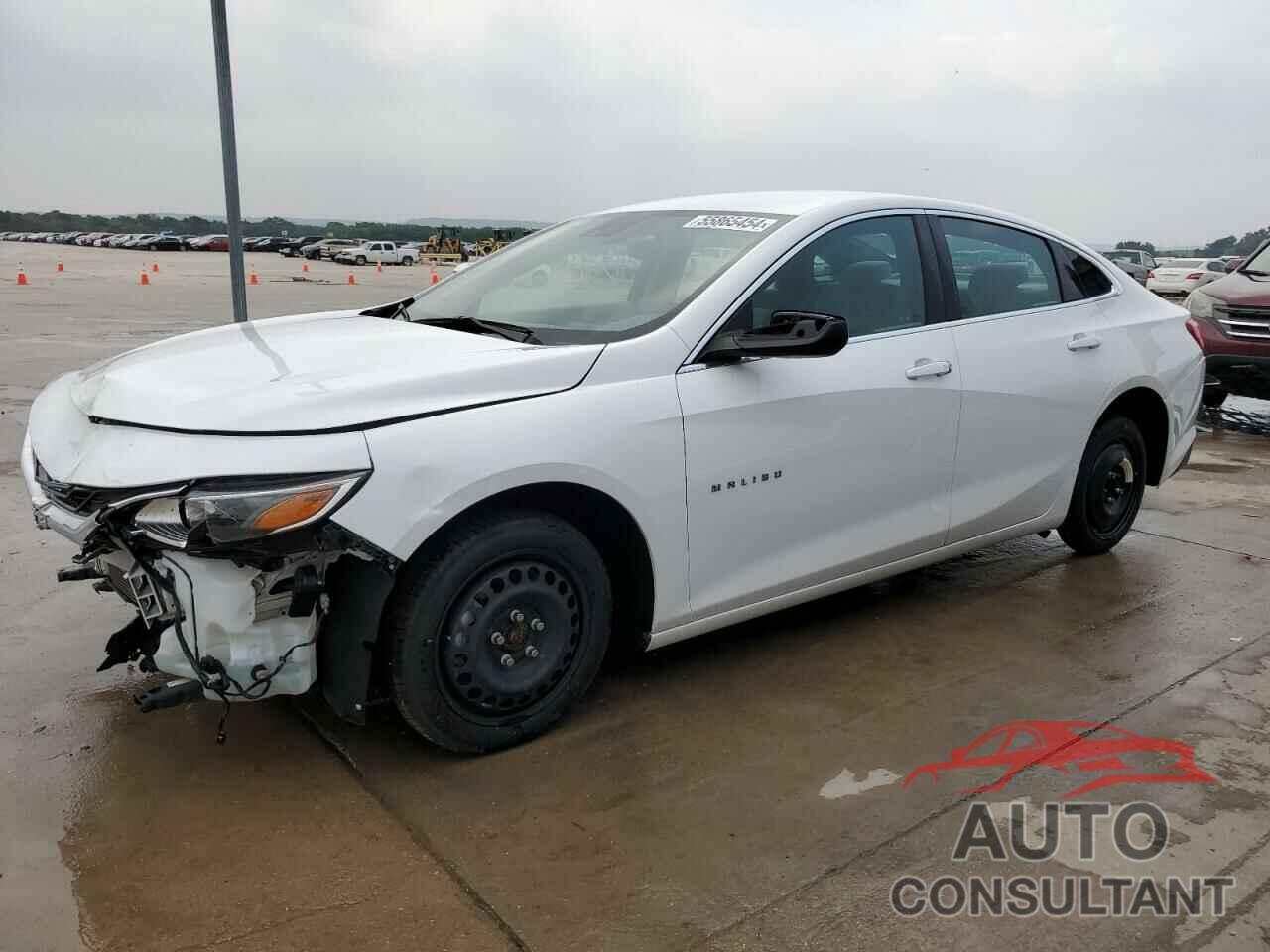 CHEVROLET MALIBU 2019 - 1G1ZC5STXKF126362