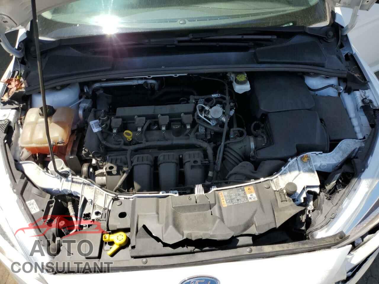 FORD FOCUS 2018 - 1FADP3K28JL283511