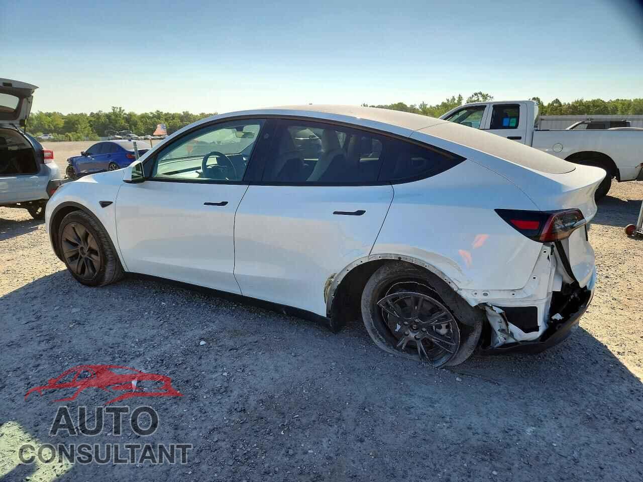 TESLA MODEL Y 2024 - 7SAYGDEE2RF160635