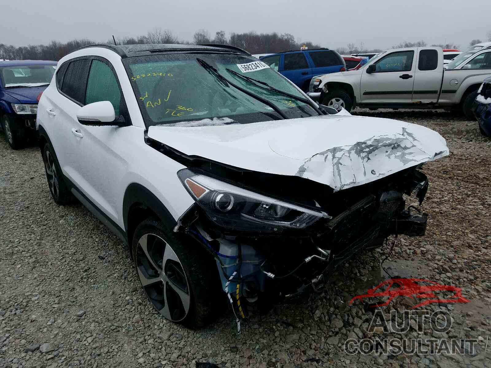 HYUNDAI TUCSON 2017 - KM8J3CA29HU570950