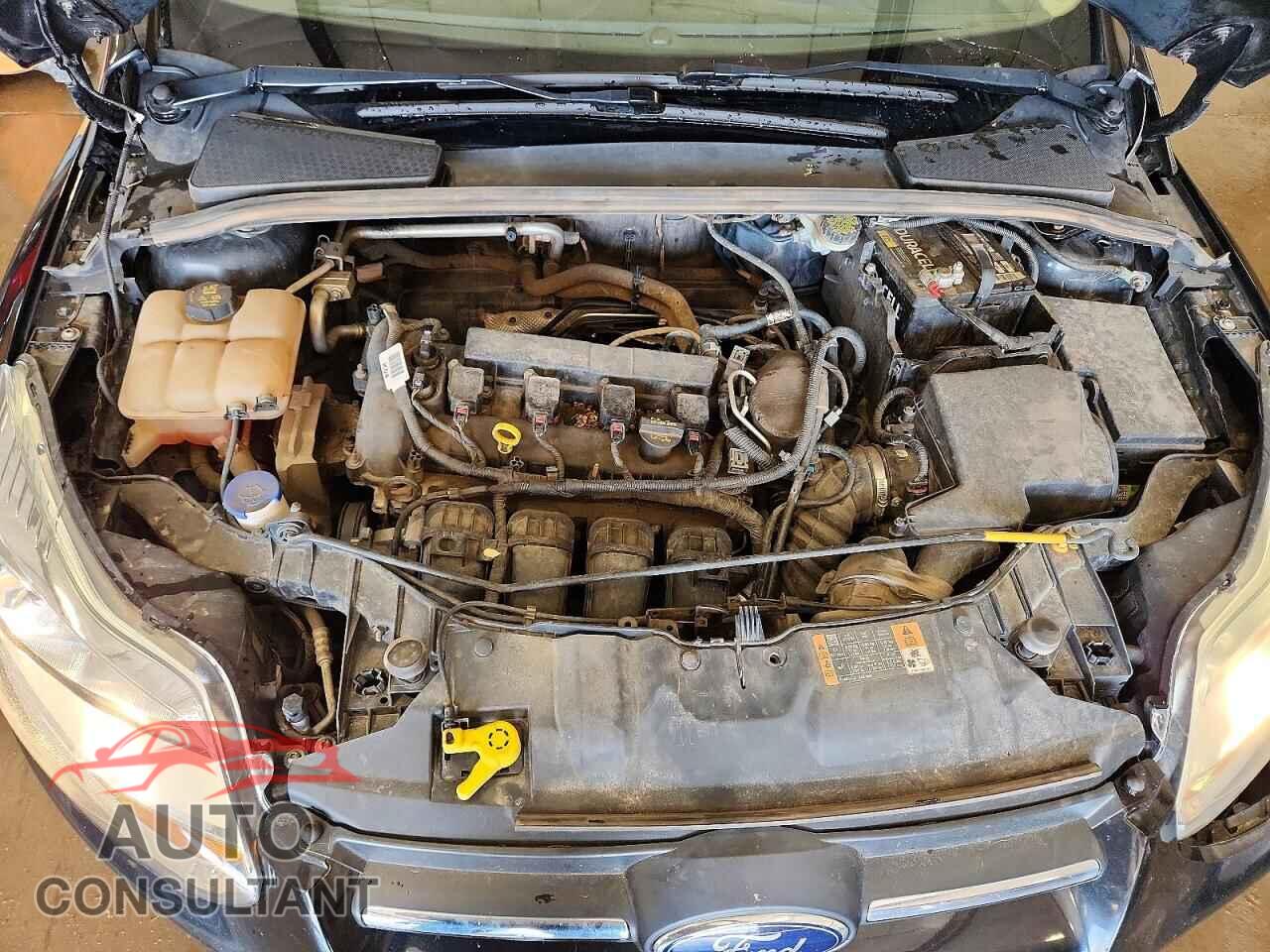 FORD FOCUS 2014 - 1FADP3E25EL391120