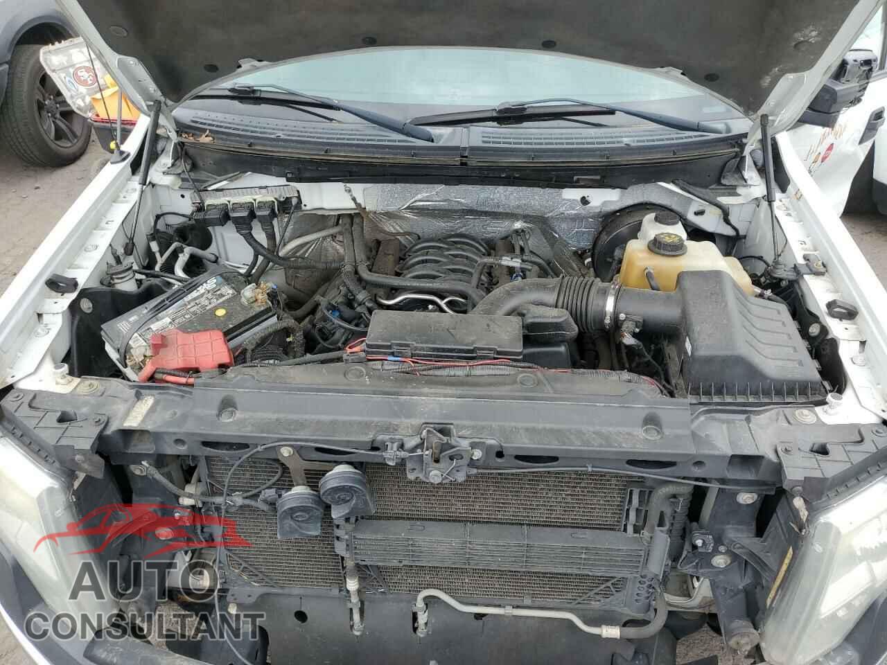 FORD F-150 2013 - 1FTFX1CF1DKG33273