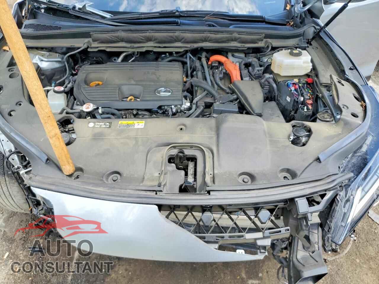 LEXUS UNKNOWN 2024 - 2T2BBMCA5RC031208